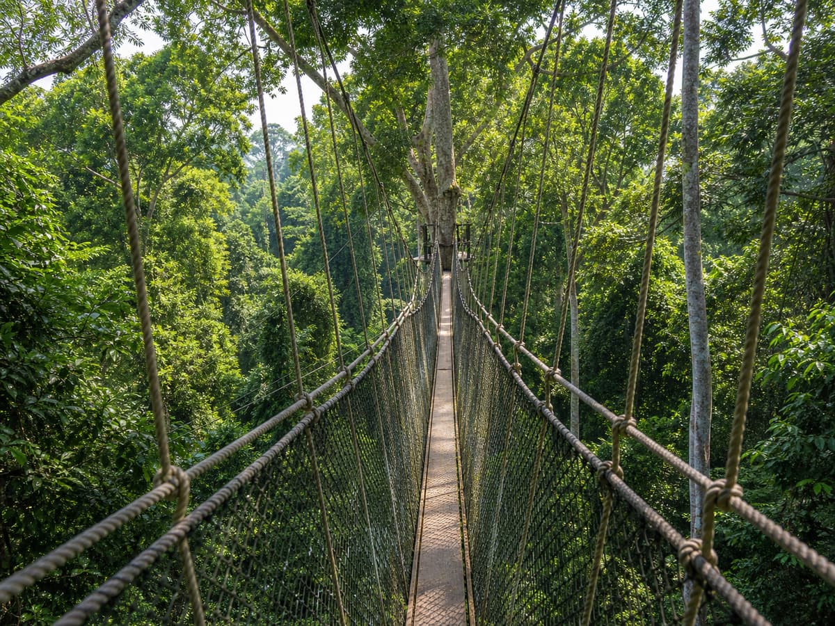 Kakum National Park Canopy Walkway