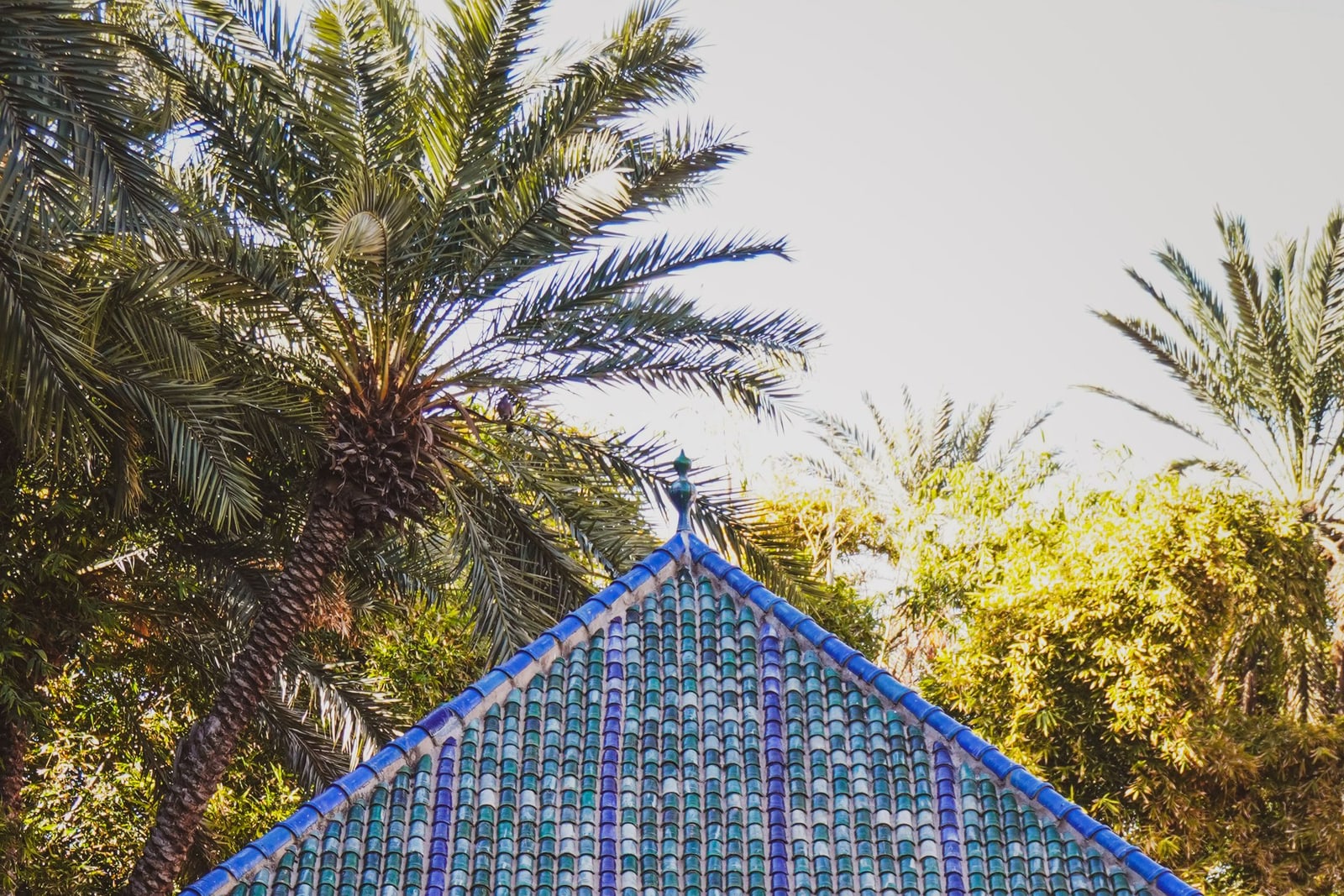 Majorelle Garden