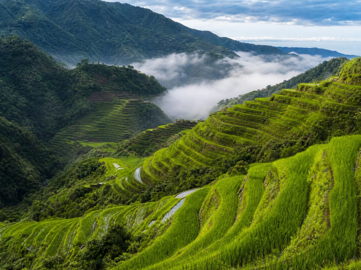 Banaue & Batad Rice Terraces