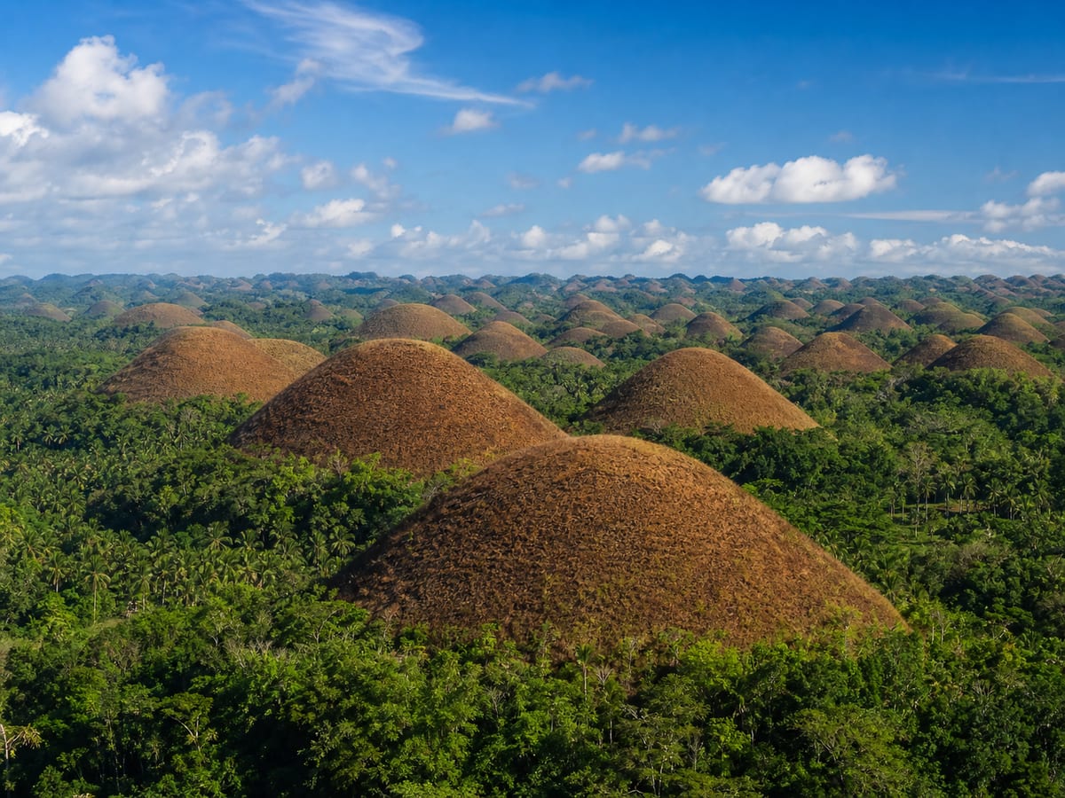 Bohol — Chocolate Hills & Tarsiers
