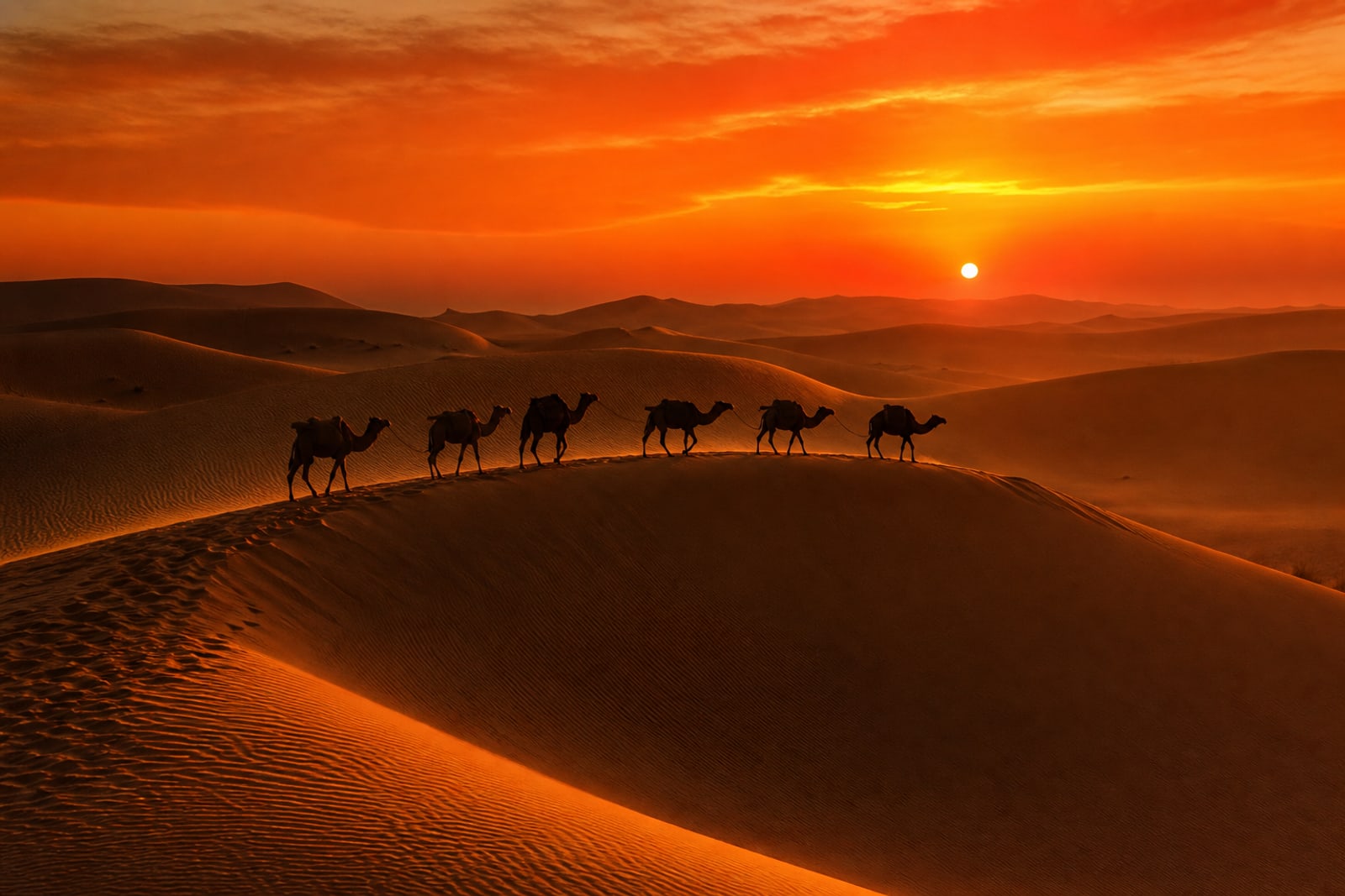 Dubai Desert Safari — image 1