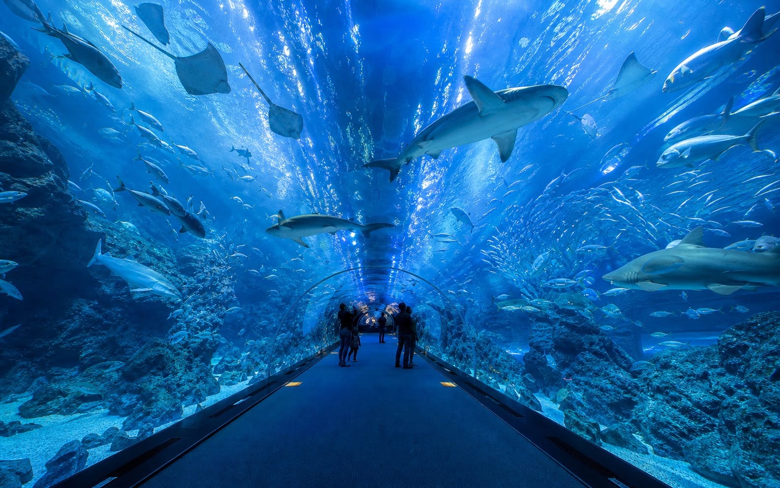 Dubai Mall