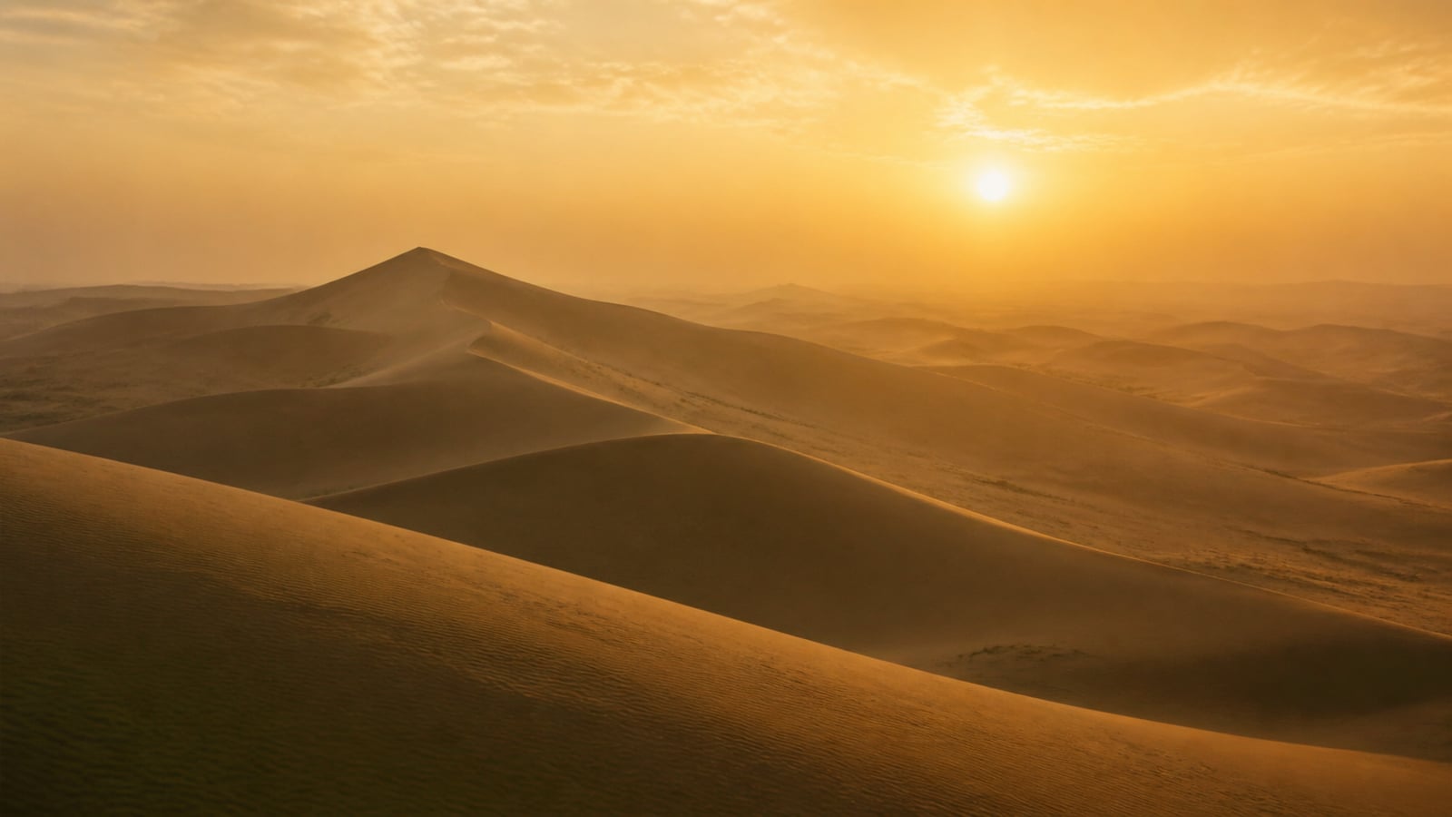 Calm desert dawn